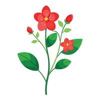Beautiful Scarlet Pimpernel Plant with Small Red Flowers and Green Leaves vector