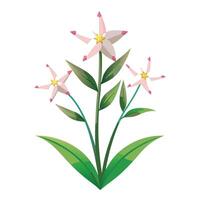 Beautiful Shooting Star Plant with White Flowers and Leaves vector