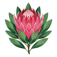 Intricate Details of a Protea Flower in a Natural Setting with Wildflowers and Butterflies vector