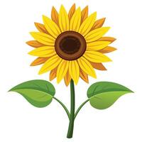 Intricate Details of a Sunflower Plant in a Natural Setting with Wildflowers and Butterflies vector