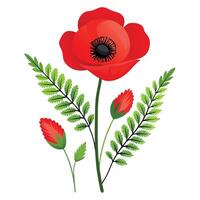 Intricate Details of a Wild Poppy Plant in a Natural Setting with Wildflowers and Butterflies vector