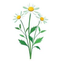 Intricate Details of a Wildflower Plant in a Natural Setting with Wildflowers and Butterflies vector
