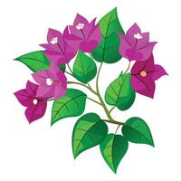 Intricate Details of a Bougainvillea Flower in a Natural Setting with Wildflowers and Butterflies vector