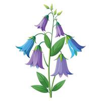 Intricate Details of a Bellflower Plant in a Natural Setting with Wildflowers and Butterflies Isollated on White Background vector