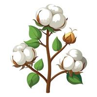 Detailed Illustration of a Cotton Plant with Pink Petals and Long Stems vector