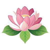 Detailed Illustration of a Lotus Flower with White Petals and Long Stems vector