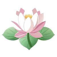 Lotus Flower with Yellow Flowers and Green Leaves in a Garden Setting vector