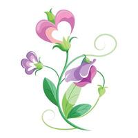 Intricate Details of a Sweet Pea Flower in a Natural Setting with Wildflowers and Butterflies vector