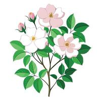 Intricate Details of a Wild Rose Plant in a Natural Setting with Wildflowers and Butterflies vector