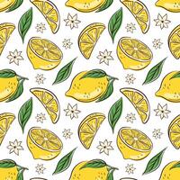 Seamless pattern with hand drawn lemon slice, green leaf and citrus blossom in flat style. Ideal for summer theme, food packaging or fabric print on a white background. vector