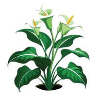 Intricate Details of a Calla Lily Plant in a Natural Setting with Wildflowers and Butterflies vector