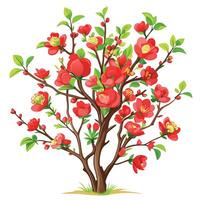 Intricate Details of a Flowering Quince Bush in a Natural Setting with Wildflowers and Butterflies vector