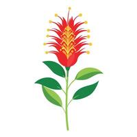 Vibrant Kangaroo Paw Flower with Brightly Colored Flowers and Leaves in a Natural Setting vector
