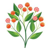 Intricate Details of a Milkweed Plant in a Natural Setting with Wildflowers and Butterflies vector