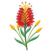 Beautiful Kangaroo Paw Flower with Red Flowers and Leaves vector