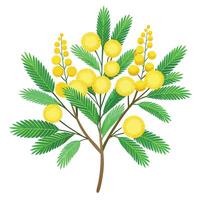 Intricate Details of a Mimosa Plant in a Natural Setting with Wildflowers and Butterflies vector