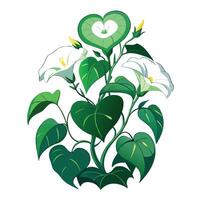 Botanical Rendering of a Moonflower Vine in Full Bloom with Green Leaves and Stems vector