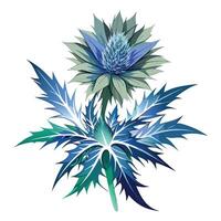 Intricate Details of a Sea Holly Plant in a Natural Setting with Wildflowers and Butterflies vector