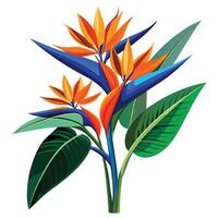 Intricate Details of a Strelitzia Plant in a Natural Setting with Wildflowers and Butterflies vector