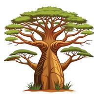Botanical Ancient Baobab Tree with Green Leaves and Trunk in a Natural Setting vector