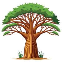 Ancient Baobab Tree with Intricate Leaves and Trunk in a Natural Setting vector