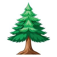 Detailed Illustration of a Cedar Tree with White Petals and Long Stems vector