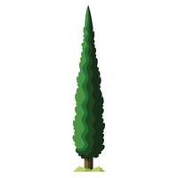 Elegant Cypress Tree with Modern Leaves and Trunk in a Futuristic Setting vector