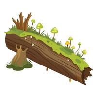 Detailed Illustration of a Fallen Tree with Mushrooms with White Petals and Long Stems vector