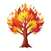 Fire Tree with Pink Flowers and Green Leaves in a Garden Setting vector