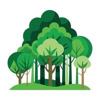 Detailed Illustration of a Flat Forest Tree Cluster Create a Flat Style with White Petals and Long Stems vector