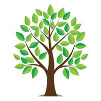 Detailed Illustration of a Flat Green Growth Tree Generate a Flat Style with White Petals and Long Stems vector