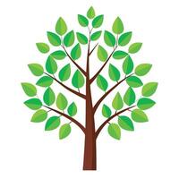 Flat Green Growth Tree Generate a Flat Style with Purple Flowers and Green Leaves in a Garden Setting vector