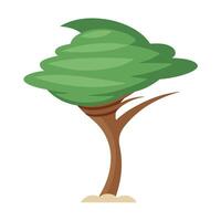 Botanical Flat Tree with a Green Tornado-Shaped Canopy in a Natural Setting vector