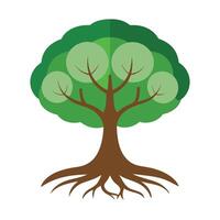 Circular Roots and Canopy for Tree Design vector