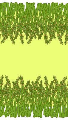 Asparagus frame seamless horizontal border. Card template Fresh organic veggie print for kitchen, menu, food package design. Hand drawn flat illustration.