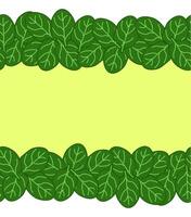 Green spinach leaves frame seamless horizontal border leafy vegetables frame, boxing, bordering. card template. flat illustration banners, print for fabric, labels, t-shirt printing. Eat green vector
