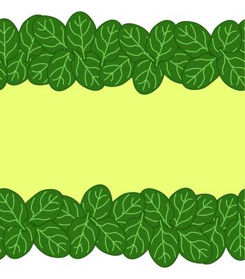 Green spinach leaves frame seamless horizontal border leafy vegetables frame, boxing, bordering. card template. flat illustration banners, print for fabric, labels, t-shirt printing. Eat green