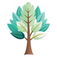 Artistic Tree with Feather-Shaped Leaves in a Colorful Design vector