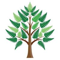 Imaginative Tree with Fern Leaves as Branches in a Fantastical Design vector