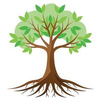 Minimalist tree design with few roots in a flat and simple style vector