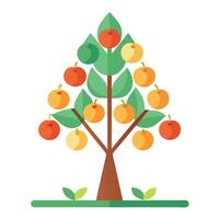 Simple tree illustration with minimalist fruits in a modern flat design vector