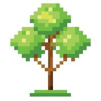 Digital Representation Tree Pixelated Leaves vector