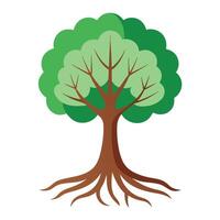 Designed Tree Simple Flat Roots vector
