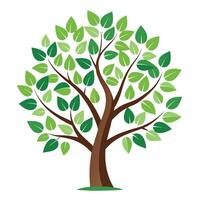 Designed Tree Central Spiral Growth vector