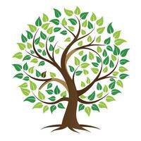 Abstract Growth Tree Central Spiral vector