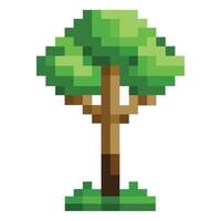 Designed Tree Square Pixelated Canopy vector