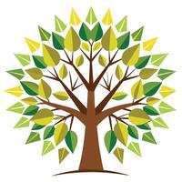 Designed Tree Flat Starburst Leaves vector