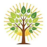 Unique tree illustration with stylized leaves displaying an intricate sunburst pattern adding a radiant touch vector