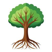Mystery Tree Transparent Canopy with Hidden Objects vector