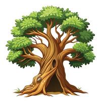 Detailed tree illustration of a hollow trunk in a natural forest setting vector
